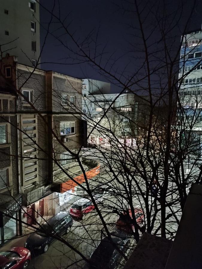 Dorobanti Apartment بوخارست المظهر الخارجي الصورة